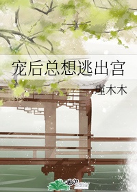 轰趴猫白金全免费