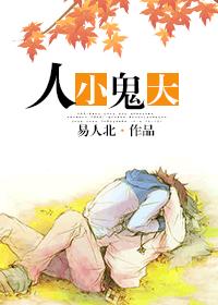 龙腾小说杨家将h版