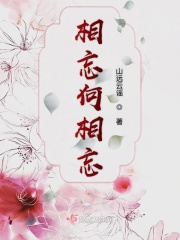 80空间小军嫂