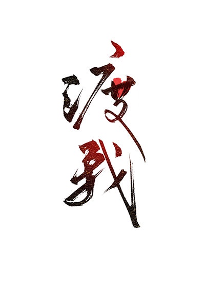 ddt系列