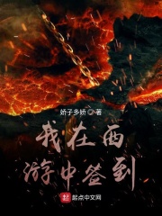天堂va手机版