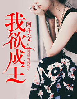 手机理论免费观看