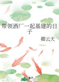 重生之传奇人生