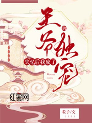 爱寻迷国语电影高清完整在线观看