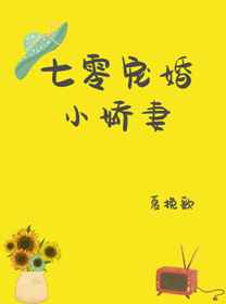 女友小叶系列全集txt
