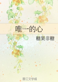 无敌极光侠