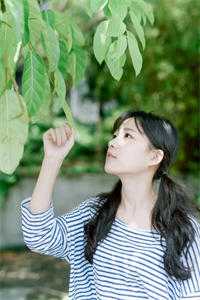 吞食天地2复刻版