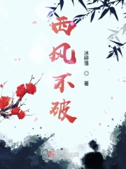 玛雅图霸天下