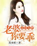 神秘翼龙岛