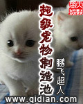 a4yy万利达