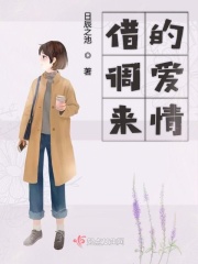 凸凹分类视频在线观看