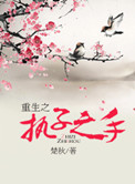 术士宏