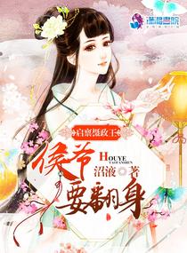 宠物小精灵日月国语版