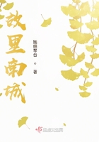 奈何情深枉流年