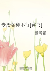 文豪野犬在线观看风车