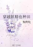 乡野小神医txt