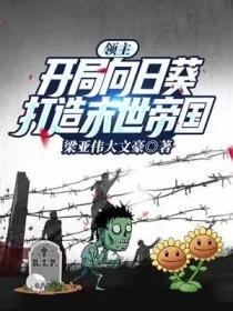 91探花视频在线观看