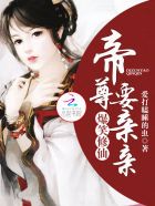 护花高手在都市txt下载