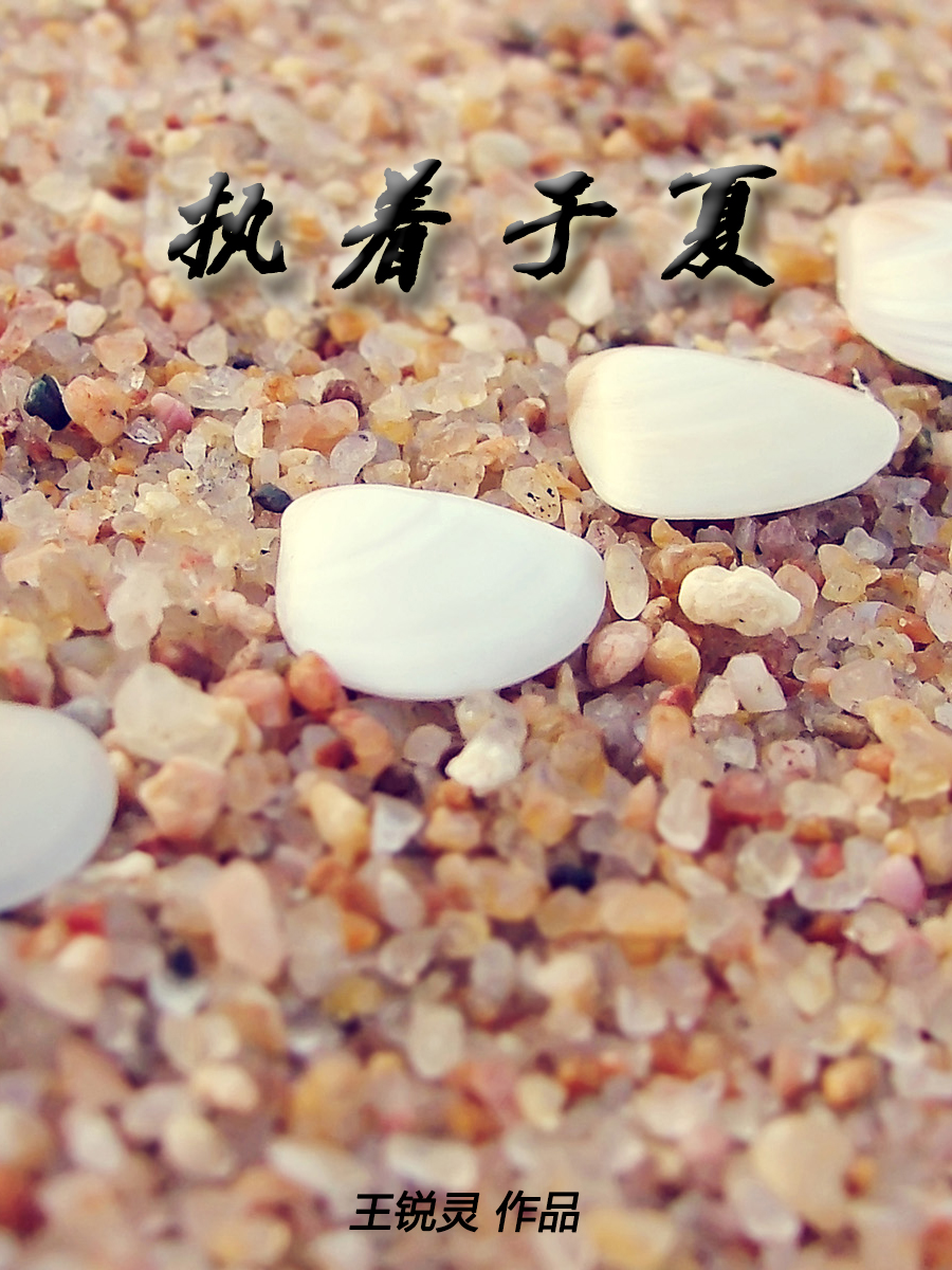 火炬之光2战士属性加点