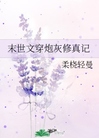 护士夏子的热情夏天