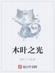 网易邮箱163登录手机