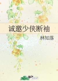 书包小说网系列