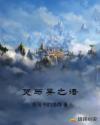 全能明星