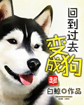袁家骏