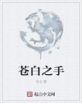 盛夏晚晴天 小说