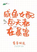 哈利波特与混血王子中文版