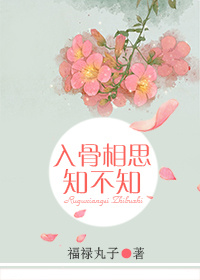 熊猫直播在线观看