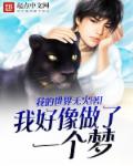 文豪野犬游戏