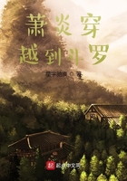 小草免费视频播放