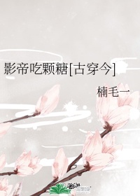 过滤芯