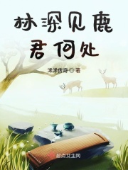 九幺免费版网站nba