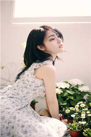 敖犬演过的电视剧