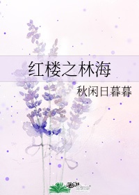 2048多地址