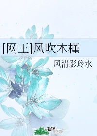 8huijia.com