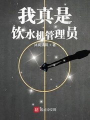薛平贵与王宝钏1-55集