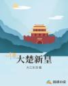 足球小子国语版免费观看高清