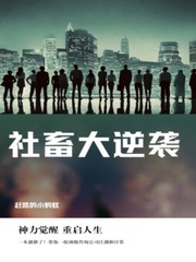 爱了散了演员表介绍