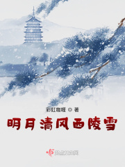 爱妻日记动漫