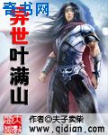 又黄又爽视频