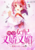 宫锁珠帘全集免费观看