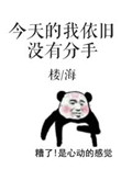 高肉np