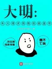 大漠高墙演员表
