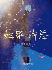 高官女婿