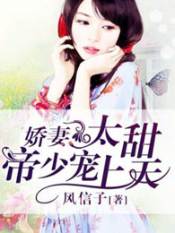夜视摄像头