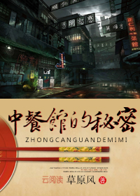 仕途登顶的小说
