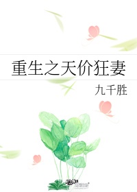 91视频区
